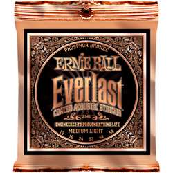 Ernie Ball Inc. P02546