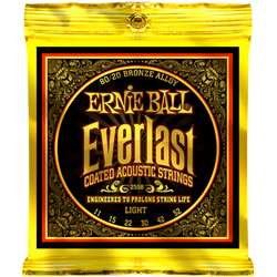 Ernie Ball Inc. P02558