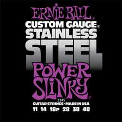 Ernie Ball Inc. P02245
