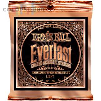 Ernie Ball Inc. P02548