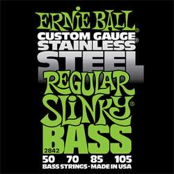Ernie Ball Inc. P02842