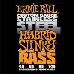 Ernie Ball Inc. P02843