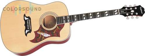 EPIPHONE DOVE NT CH