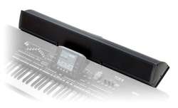 Keyboard Amplifiers
