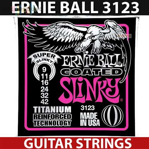 Ernie Ball Inc. P03123