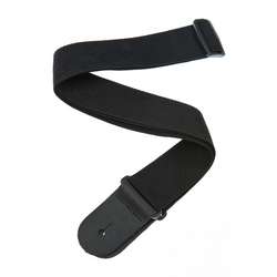 PLANET WAVES PWS100