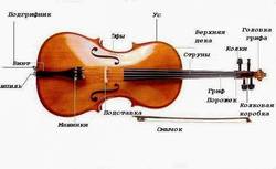 Как правильно выбрать скрипку?
