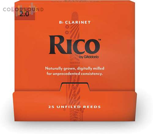 RICO RCA0120-B25