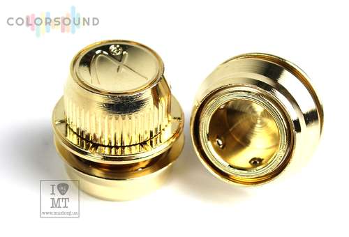 FENDER Strap Locks, Gold (pair) FSLG1