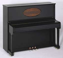 AUGUST FOERSTER 125 G black bright polished with inlay