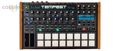 DAVE SMITH INSTRUMENTS Tempest