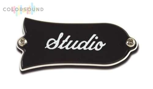 GIBSON TRUSS ROD COVER