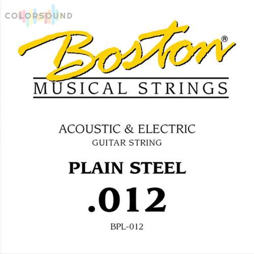 Boston BPL-012 acoustic & electric