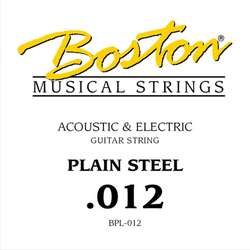 Boston BPL-012 acoustic & electric