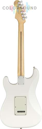 FENDER PLAYER STRATOCASTER HSS PF PWT
